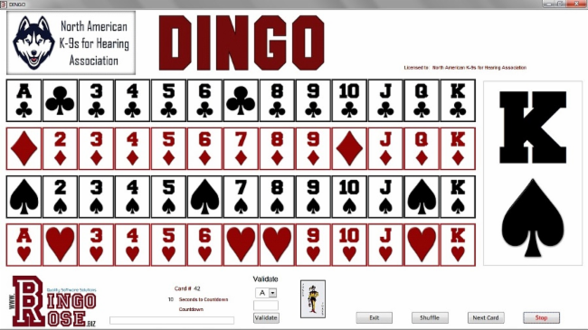 DINGO main screen – 42 cards called